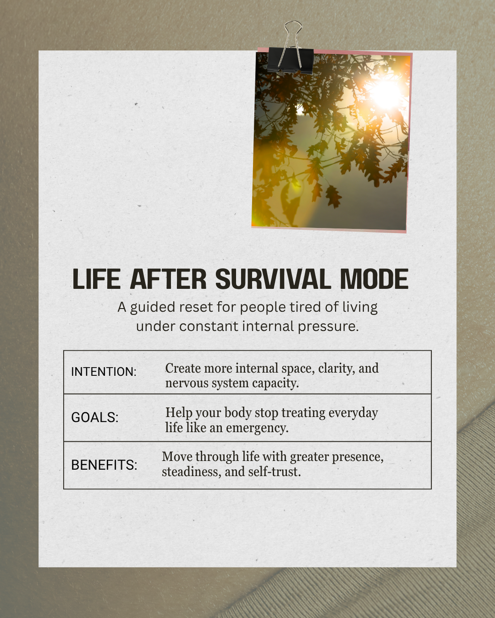 Life After Survival Mode