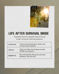 Life After Survival Mode